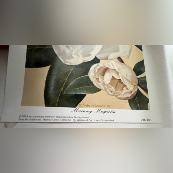 Waltraud Fuchs von Schwarzbek “Morning Magnolia” Print 10”x8” - Picture 5 of 8